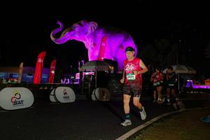 BIB: 
                            <button type="button" onclick="openModal(26535264)" class="btn btn-primary btn-sm float-right btn-popup" data-toggle="modal" data-target=".modal-high-quality">
                        <i class="fas fa-shopping-cart"></i> Add to Cart
                    </button>
                                            <button type="button" onclick="isThisMe(26535264, true)" class="btn btn-success btn-sm float-right btn-popup btn-isme hidden" data-toggle="tooltip" data-placement="bottom" title="นี่คือรูปของคุณใช่ไหม คลิกที่นี่เพื่อเอาเข้าอัลบั้ม">
                        <i class="fas fa-plus"></i> Add to album
                    </button>
                    <button type="button" onclick="isThisMe(26535264, false)" class="btn btn-warning btn-sm float-right btn-popup btn-isnotme hidden">
                        <i class="fas fa-ban"></i> Remove from album
                    </button>